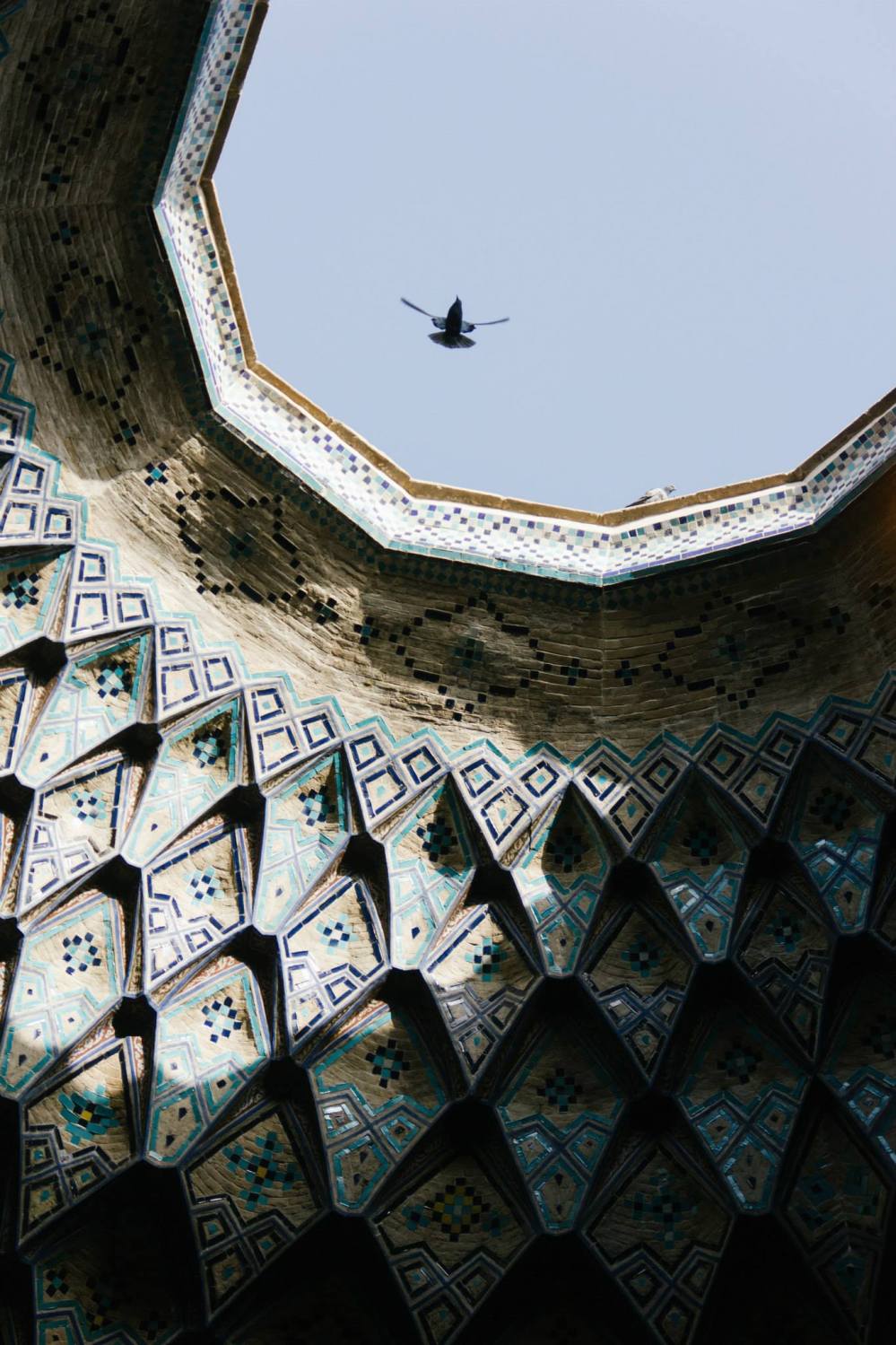 10256730_10152875276926583_3511036201590268852_o