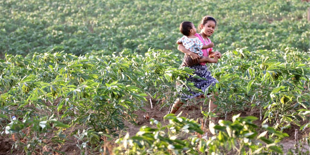 Screenshot-2017-05-20-17.05.56