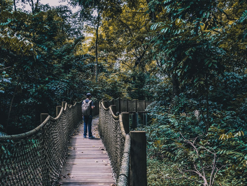 Processed with VSCO with a6 preset